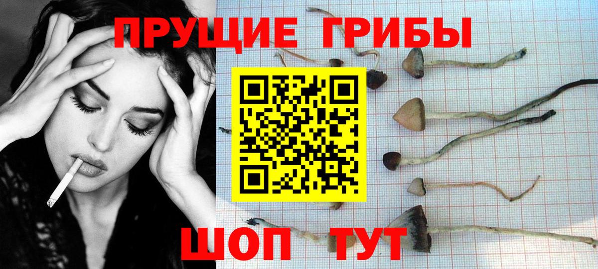 Псилоцибиновые грибы ЛСД Серпухов